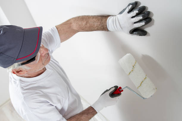 Trusted Maxwell, CA Mold Removal Experts