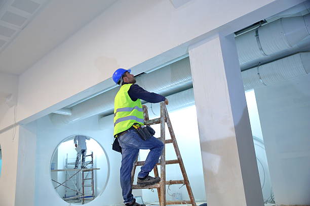 Best Emergency Mold Remediation  in Maxwell, CA